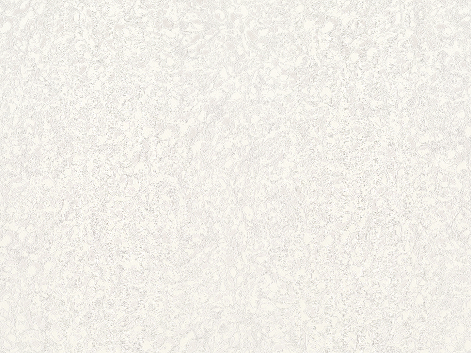 Шпалери Л8662-07 Асти 1,06м X 10,05м білий